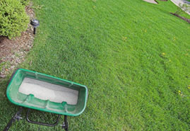 Landscape Maintenance Services in Edmonton - Image3