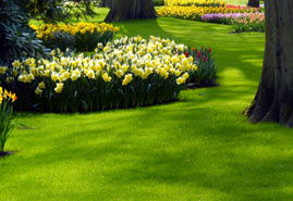 Landscape Maintenance Services in Edmonton - Image 2