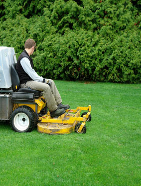 Landscape Maintenance Services in Edmonton - Side Image 2