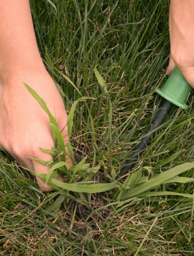 Landscape Maintenance Services in Edmonton - Side Image 3