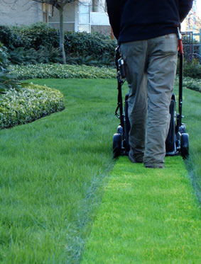 Landscape Maintenance Services in Edmonton - Side Image 2