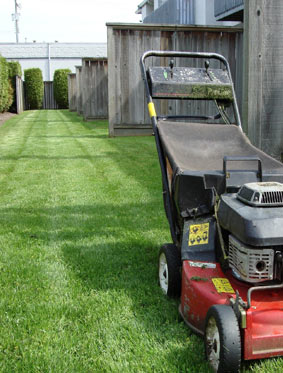 Landscape Maintenance Services in Edmonton - Side Image 3